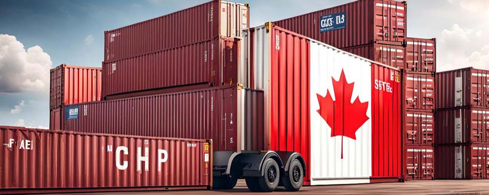 Shipping From New Zealand to Canada: Things You Need to Know